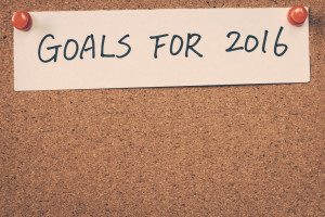 Doelstellingen 2016 01