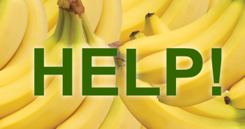 “Ik kan door de bananen het bos niet meer zien!”