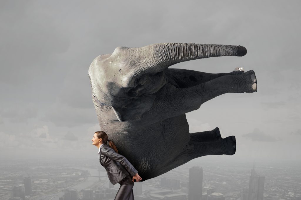 Lifting elephant struggle