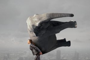 Lifting elephant struggle