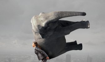 Marketing: stop met het ‘moeten’. Lifting elephant struggle