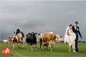 Els Korsten van koeienfotograaf tot ‘Beste trouwfotograaf Benelux’