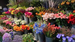 thumbnail Bloemenstal