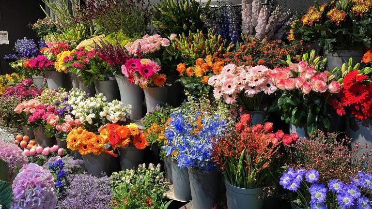 thumbnail Bloemenstal